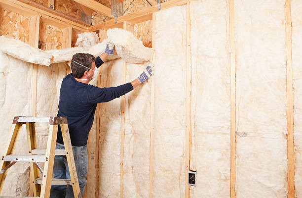 Best Eco-Friendly Insulation Solutions  in Lancaster, SC